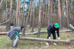 Коллектив НИУ «БелГУ» принял участие в общегородском субботнике
