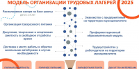 «Обязаловки быть не может»: более девяти тысяч белгородских школьников смогут устроиться в трудовые лагеря - Мир Белогорья
