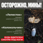 Гладков сообщил о гибели 10-летнего мальчика от мины «колокольчик» - Изображение 1