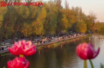 Белгородцы продолжают рассказывать о своём городе