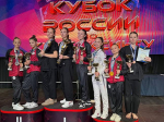 Белгородцы выиграли 10 медалей на Кубке России по кикбоксингу - Изображение