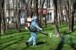 В Белгороде проведут акарицидную обработку трех площадок 24 апреля