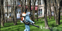 Завтра в Белгороде от клещей обработают ещё три общественные зоны - Мир Белогорья