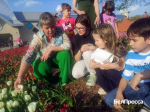 В Белгороде организовали экскурсии по цветникам для детей из приграничья - Изображение