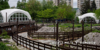 В белгородском парке Ленина открылся роллердром - Мир Белогорья