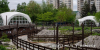 В Белгороде заработал роллердром в центральном парке - Комсомольская Правда