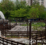 В белгородском Центральном парке им. Ленина заработал роллердром - Belnovosti.Ru