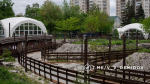 Роллердром заработал в парке имени Ленина в Белгороде