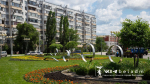 В Белгороде высадят 24 тысячи бархатцев