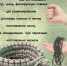 Объявления НИУ «БелГУ» мастер-класс по плетению браслетов выживания - БелГУ