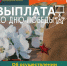О мерах социальной поддержки в виде единовременной выплаты - Департамент финансов и бюджетной политики Белгородской области
