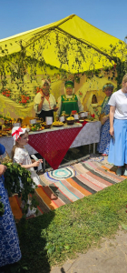 Холковский сполох