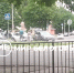На улице Губкина в Белгороде произошло ДТП - Мир Белогорья