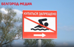 В Белгороде приступили к очистке реки в районе парка «Берега»