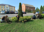 Трудоустройство подростков в летний период — отличная возможность для них получить опыт работы, заработать карманные деньги и потрудиться на пользу родному району.