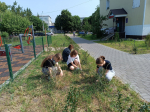 Трудоустройство подростков в летний период — отличная возможность для них получить опыт работы, заработать карманные деньги и потрудиться на пользу родному району.