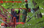 В Белгороде устраняют последствия непогоды