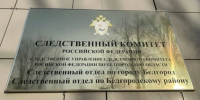 Глава СК России поручил возбудить уголовное дело после нападения бродячих собак на подростка в Белгороде - Комсомольская Правда
