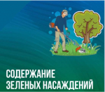 Содержание зеленых насаждений