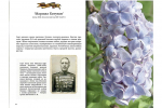В книге «Сирень Победы» рассказывается о сортах, выведенных учёными НИУ «БелГУ»