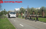 В Белгороде проводят кронирование деревьев