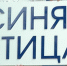 Белгородская организация «Синяя птица» уже 10 лет помогает семьям, в которых воспитывают детей с аутизмом - Belnovosti.Ru