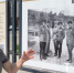 Представители Великих Лук посетили фотовыставку «Дорогами городов воинской славы» в Белгороде - Belnovosti.Ru