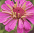 Завтра в регионе ожидается тёплая погода - МЧС