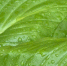 Грозы и дожди придут в Белгородскую область 23 августа - Сетевое издание Знамя 31