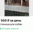 Белгородка пожаловалась на гостиницу для собак в частном доме - Fonar.Tv