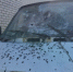 31 августа ВСУ атаковали девять белгородских муниципалитетов - Мир Белогорья