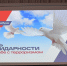 Вместе против террора: уроки единства и надежды. - Администрация Белгородского района