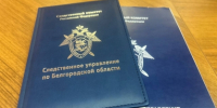 Завершено расследование уголовного дела по обвинению бывшего директора муниципального учреждения в мошенничестве - Следственный комитет