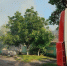 За сутки армия Украины выпустила по Белгородской области 192 беспилотника и 78 боеприпасов - БелПресса