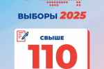 Более 25% белгородцев проголосовали на выборах депутатов Белгородской областной Думы восьмого созыва.