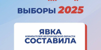 Явка избирателей в Белгородской области на 15.00 составила 43,11%. - Единая Россия
