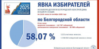 В Белгородской области завершились выборы - Belnovosti.Ru