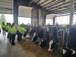 Белгородские школьники узнают о профессиях через живой опыт и командную работу