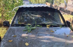ВСУ атаковали Белгородскую область с помощью 125 беспилотников за сутки
