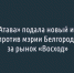 «Атава» подала новый иск против мэрии Белгорода за рынок «Восход» - Fonar.Tv