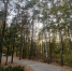 В пятницу на территории региона осадков не  ожидается - МЧС