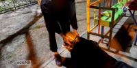 В Белгороде завершено расследование уголовного дела в отношении местного жителя, обвиняемого в убийстве - Следственный комитет