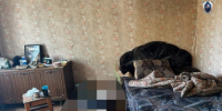 Завершено расследование уголовного дела в отношении жителя Корочанского района обвиняемого в смертельном избиении знакомого - Следственный комитет