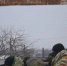 В Белгородской области к госнаградам представят бойцов самообороны - Комсомольская Правда