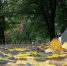 До +19 градусов потеплеет в Белгородской области 7 октября - Комсомольская Правда