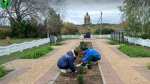 Жители Белгородского района стали участниками областного субботника