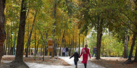 Как отдохнуть белгородцам 17–19 октября - БелПресса