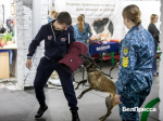 Служба с хвостом. В белгородском кинологическом центре провели экскурсию для школьников - Изображение 3