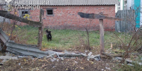 99 БПЛА атаковали Белгородскую область 18 октября - Мир Белогорья