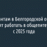 Мигрантам в Белгородской области запретят работать в общепите и такси с 2025 года - Fonar.Tv